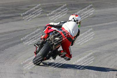 media/Feb-04-2024-SoCal Trackdays (Sun) [[91d6515b1d]]/4-Bowl Backside (11am)/